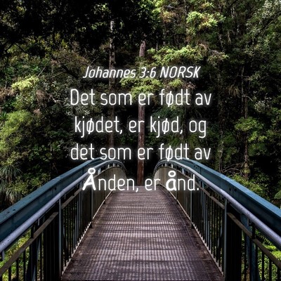 Picture 04 - Johannes 3:6 NORSK - Det som er født av kjødet, er kjød, og det som - Bible Verse Picture