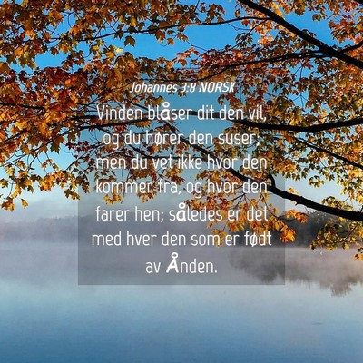 Picture 04 - Johannes 3:8 NORSK - Vinden blåser dit den vil, og du hører den - Bible Verse Picture