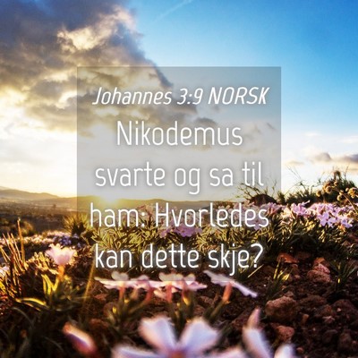 Picture 04 - Johannes 3:9 NORSK - Nikodemus svarte og sa til ham: Hvorledes kan - Bible Verse Picture