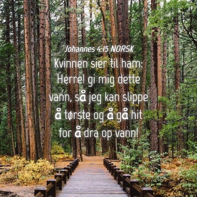 Picture 04 - Johannes 4:15 NORSK - Kvinnen sier til ham: Herre! gi mig dette vann, - Bible Verse Picture