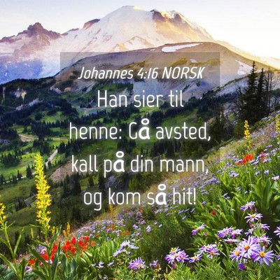 Picture 04 - Johannes 4:16 NORSK - Han sier til henne: Gå avsted, kall på din - Bible Verse Picture