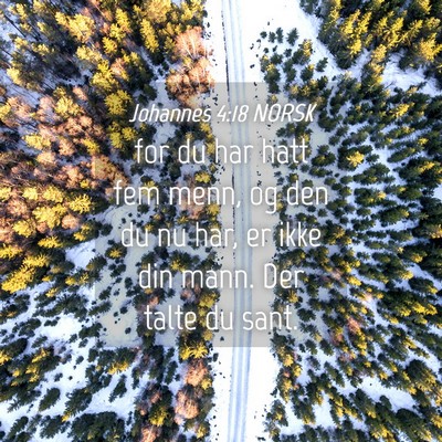 Picture 04 - Johannes 4:18 NORSK - for du har hatt fem menn, og den du nu har, er - Bible Verse Picture