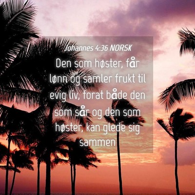 Picture 04 - Johannes 4:36 NORSK - Den som høster, får lønn og samler frukt til - Bible Verse Picture