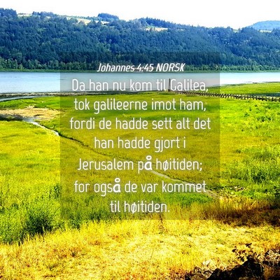 Picture 04 - Johannes 4:45 NORSK - Da han nu kom til Galilea, tok galileerne imot - Bible Verse Picture