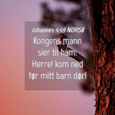 Picture 04 - Johannes 4:49 NORSK - Kongens mann sier til ham: Herre! kom ned før - Bible Verse Picture