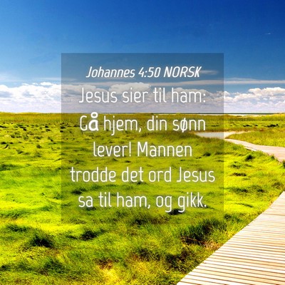 Picture 04 - Johannes 4:50 NORSK - Jesus sier til ham: Gå hjem, din sønn lever! - Bible Verse Picture
