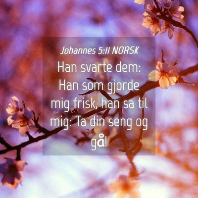 Picture 04 - Johannes 5:11 NORSK - Han svarte dem: Han som gjorde mig frisk, han sa - Bible Verse Picture