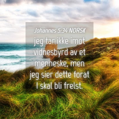 Picture 04 - Johannes 5:34 NORSK - jeg tar ikke imot vidnesbyrd av et menneske, men - Bible Verse Picture