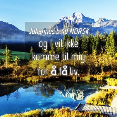 Picture 04 - Johannes 5:40 NORSK - og I vil ikke komme til mig for å få - Bible Verse Picture