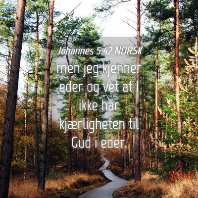 Picture 04 - Johannes 5:42 NORSK - men jeg kjenner eder og vet at I ikke har - Bible Verse Picture