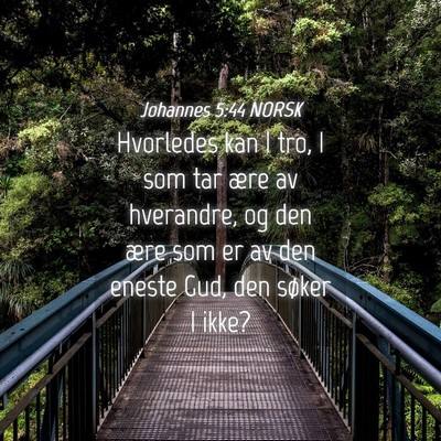 Picture 04 - Johannes 5:44 NORSK - Hvorledes kan I tro, I som tar ære av hverandre, - Bible Verse Picture