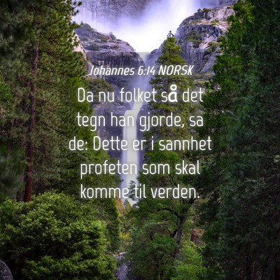 Picture 04 - Johannes 6:14 NORSK - Da nu folket så det tegn han gjorde, sa de: - Bible Verse Picture