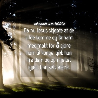 Picture 04 - Johannes 6:15 NORSK - Da nu Jesus skjønte at de vilde komme og ta ham - Bible Verse Picture