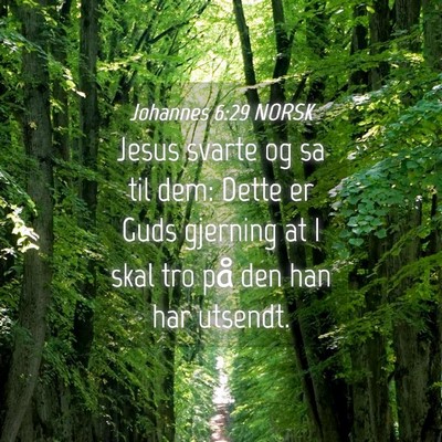 Picture 04 - Johannes 6:29 NORSK - Jesus svarte og sa til dem: Dette er Guds - Bible Verse Picture
