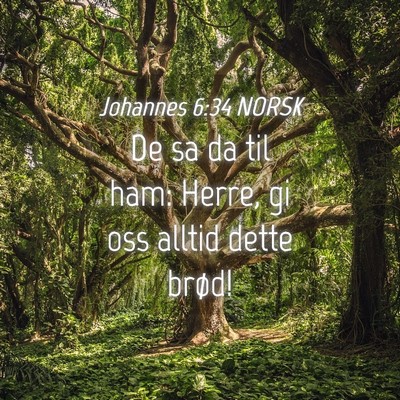 Picture 04 - Johannes 6:34 NORSK - De sa da til ham: Herre, gi oss alltid dette - Bible Verse Picture