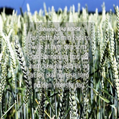 Picture 04 - Johannes 6:40 NORSK - For dette er min Faders vilje at hver den som ser - Bible Verse Picture