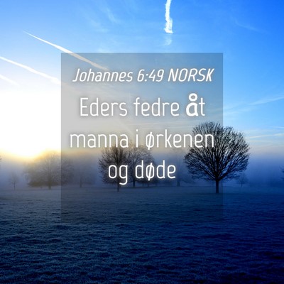 Picture 04 - Johannes 6:49 NORSK - Eders fedre åt manna i ørkenen og - Bible Verse Picture