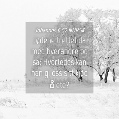 Picture 04 - Johannes 6:52 NORSK - Jødene trettet da med hverandre og sa: Hvorledes - Bible Verse Picture