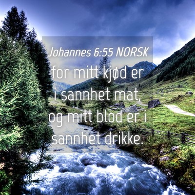 Picture 04 - Johannes 6:55 NORSK - for mitt kjød er i sannhet mat, og mitt blod er - Bible Verse Picture