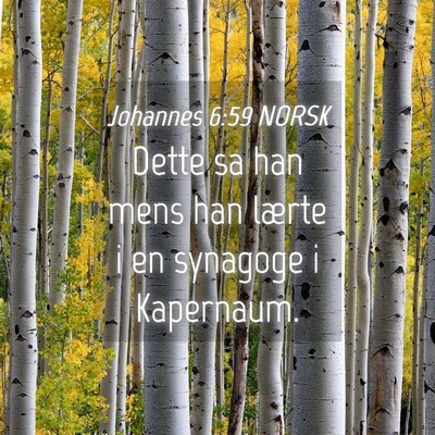 Picture 04 - Johannes 6:59 NORSK - Dette sa han mens han lærte i en synagoge i - Bible Verse Picture