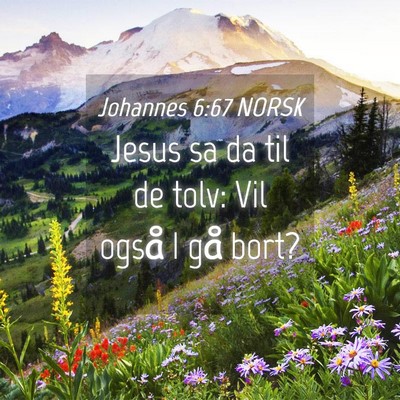 Picture 04 - Johannes 6:67 NORSK - Jesus sa da til de tolv: Vil også I gå - Bible Verse Picture
