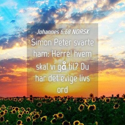 Picture 04 - Johannes 6:68 NORSK - Simon Peter svarte ham: Herre! hvem skal vi gå - Bible Verse Picture