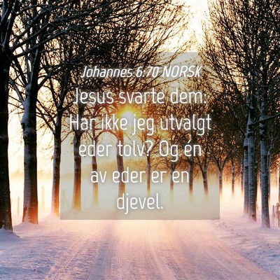 Picture 04 - Johannes 6:70 NORSK - Jesus svarte dem: Har ikke jeg utvalgt eder tolv? - Bible Verse Picture