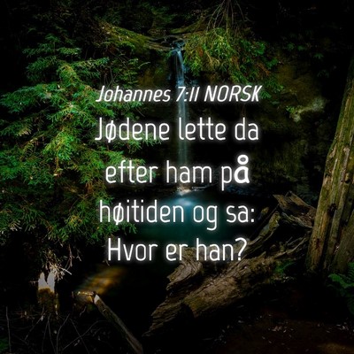 Picture 04 - Johannes 7:11 NORSK - Jødene lette da efter ham på høitiden og sa: - Bible Verse Picture