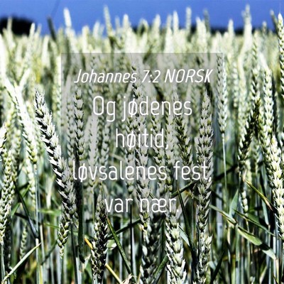 Picture 04 - Johannes 7:2 NORSK - Og jødenes høitid, løvsalenes fest, var - Bible Verse Picture