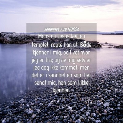 Picture 04 - Johannes 7:28 NORSK - Mens nu Jesus lærte i templet, ropte han ut: - Bible Verse Picture