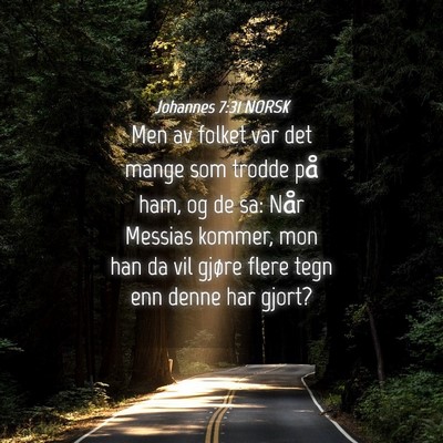 Picture 04 - Johannes 7:31 NORSK - Men av folket var det mange som trodde på ham, - Bible Verse Picture
