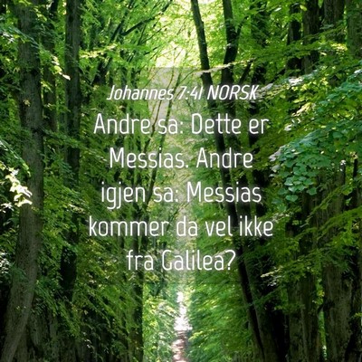 Picture 04 - Johannes 7:41 NORSK - Andre sa: Dette er Messias. Andre igjen sa: - Bible Verse Picture
