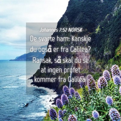 Picture 04 - Johannes 7:52 NORSK - De svarte ham: Kanskje du også er fra Galilea? - Bible Verse Picture