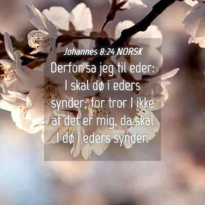 Picture 04 - Johannes 8:24 NORSK - Derfor sa jeg til eder: I skal dø i eders - Bible Verse Picture