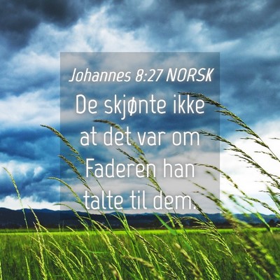 Picture 04 - Johannes 8:27 NORSK - De skjønte ikke at det var om Faderen han talte - Bible Verse Picture