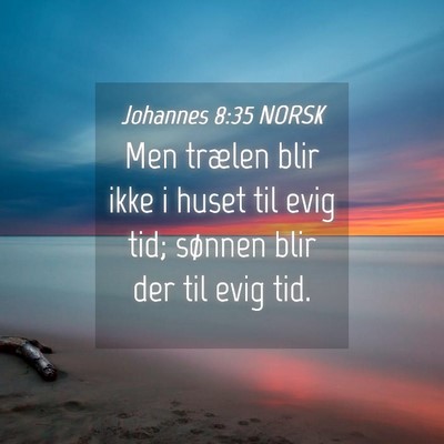 Picture 04 - Johannes 8:35 NORSK - Men trælen blir ikke i huset til evig tid; - Bible Verse Picture