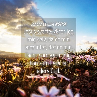 Picture 04 - Johannes 8:54 NORSK - Jesus svarte: Ærer jeg mig selv, da er min ære - Bible Verse Picture