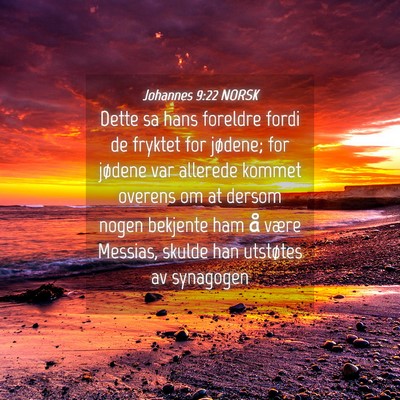 Picture 04 - Johannes 9:22 NORSK - Dette sa hans foreldre fordi de fryktet for - Bible Verse Picture