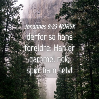 Picture 04 - Johannes 9:23 NORSK - derfor sa hans foreldre: Han er gammel nok; spør - Bible Verse Picture