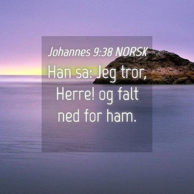 Picture 04 - Johannes 9:38 NORSK - Han sa: Jeg tror, Herre! og falt ned for - Bible Verse Picture