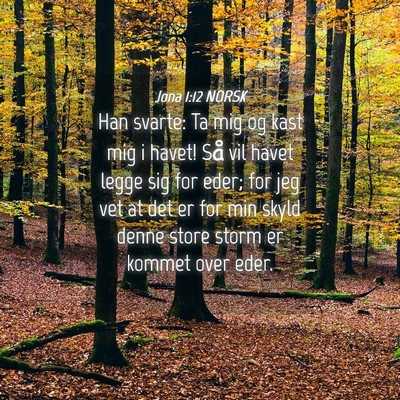 Picture 04 - Jona 1:12 NORSK - Han svarte: Ta mig og kast mig i havet! Så vil - Bible Verse Picture