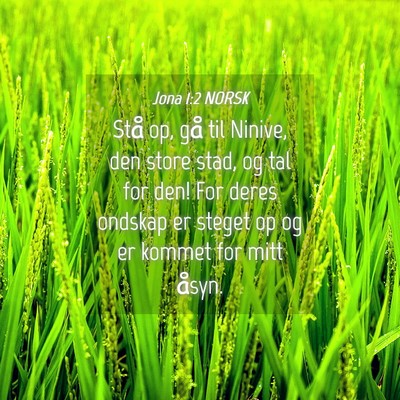 Picture 04 - Jona 1:2 NORSK - Stå op, gå til Ninive, den store stad, og tal - Bible Verse Picture