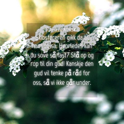 Picture 04 - Jona 1:6 NORSK - Skibsføreren gikk da til ham og sa: Hvorledes - Bible Verse Picture