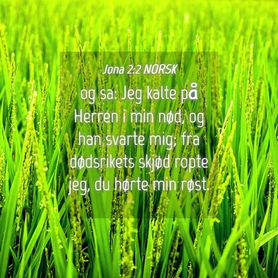 Picture 04 - Jona 2:2 NORSK - og sa: Jeg kalte på Herren i min nød, og han - Bible Verse Picture