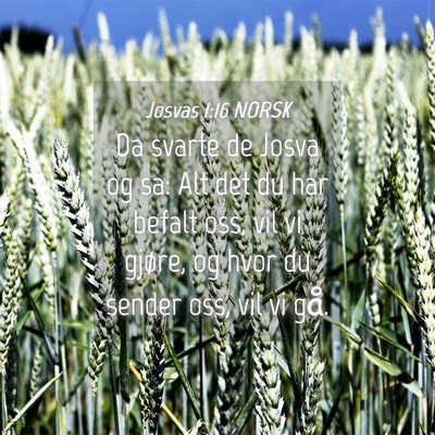 Picture 04 - Josvas 1:16 NORSK - Da svarte de Josva og sa: Alt det du har befalt - Bible Verse Picture