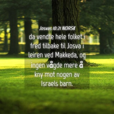 Picture 04 - Josvas 10:21 NORSK - da vendte hele folket i fred tilbake til Josva i - Bible Verse Picture