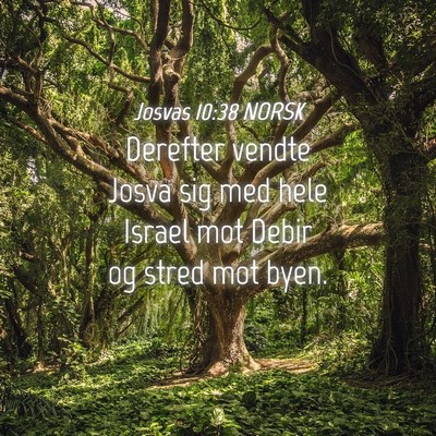 Picture 04 - Josvas 10:38 NORSK - Derefter vendte Josva sig med hele Israel mot - Bible Verse Picture