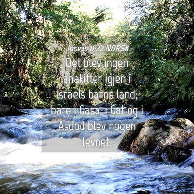 Picture 04 - Josvas 11:22 NORSK - Det blev ingen anakitter igjen i Israels barns - Bible Verse Picture