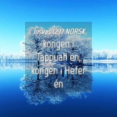 Picture 04 - Josvas 12:17 NORSK - kongen i Tappuah én, kongen i Hefer - Bible Verse Picture