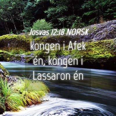 Picture 04 - Josvas 12:18 NORSK - kongen i Afek én, kongen i Lassaron - Bible Verse Picture